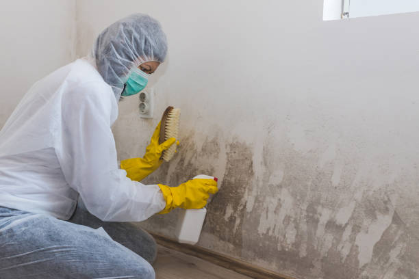 Best Crawl Space Mold Removal  in Keyes, CA