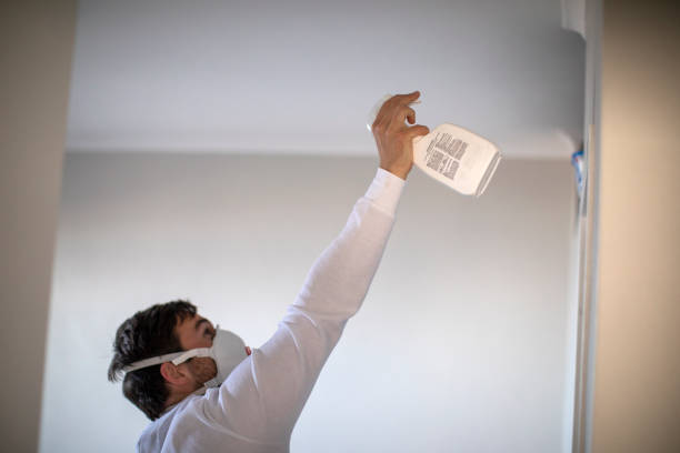 Best Residential Mold Removal  in Keyes, CA