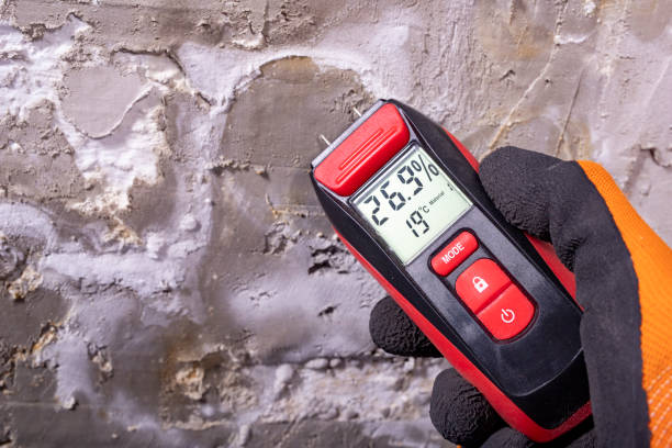 Best Mold Testing  in Keyes, CA