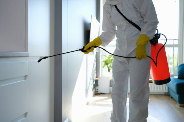 Crawl Space Mold Removal in Keyes, CA