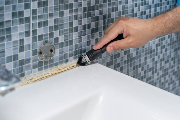 Trusted Keyes, CA Mold Removal Experts
