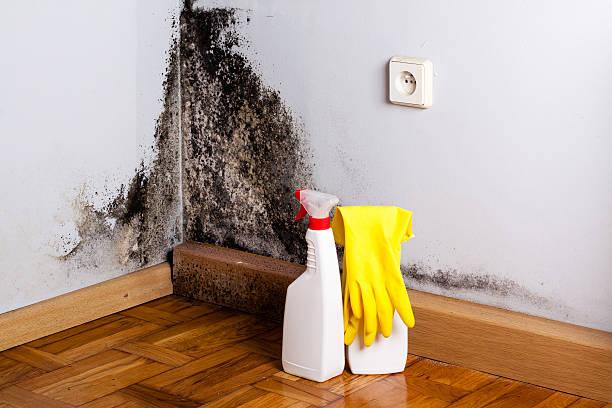Best Emergency Mold Removal  in Keyes, CA